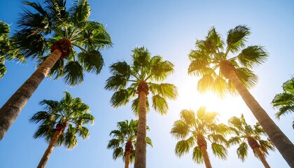 Naklejka premium Palm trees against a vibrant blue sky
