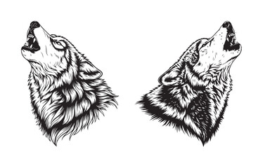Two howling wolf heads vector illustration © Baloch
