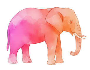 Colorful watercolor elephant illustration with pink and orange hues