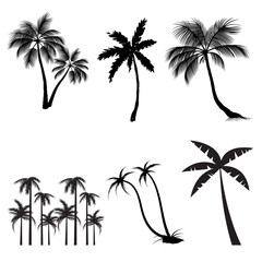 palm trees silhouettes © Salsa