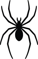 Silhouette spider creepy insect arachnid silhouette vector illustrator