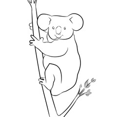 sketch of a koala climbing a tree on a white background