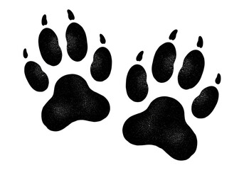 Paw Prints A Pair of Black Animal Tracks on White