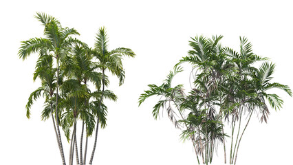Vector 2 tree
