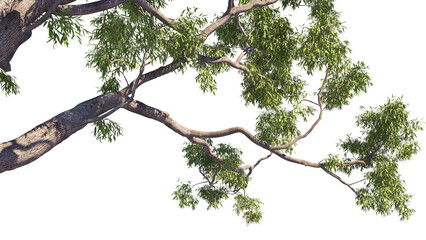 vector tree left
