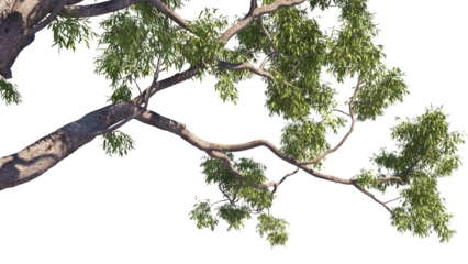vector tree left