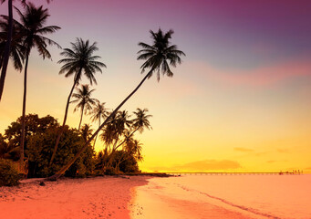Summer with colorful theme of sunset scene as palm trees on the beach background