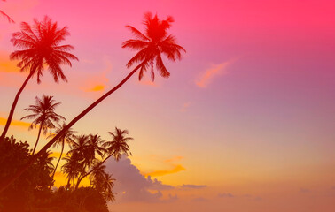 Silhouette of palm trees at sunset. Silhouette palm tree at tropical beach background