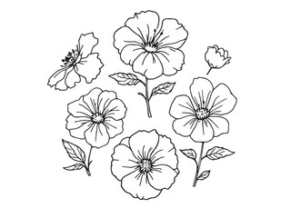 morning glory clear vision simple line art