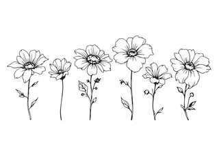 morning glory clear vision simple line art