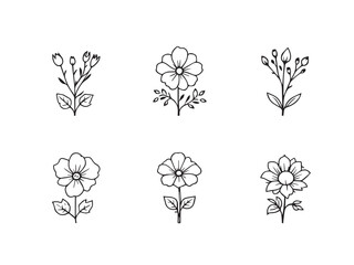 morning glory clear vision simple line art