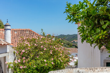 Obidos Castle and Historic Village Rooftops