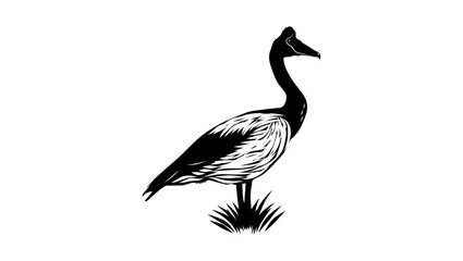 Magpie Goose , black isolated silhouette