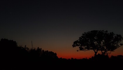 Silhouette of a tree against a colorful sunset sky