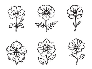nicotiana clear vision simple line art