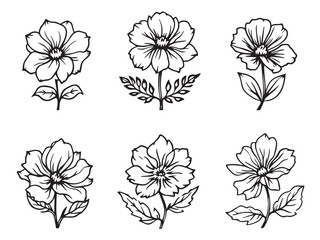 nicotiana clear vision simple line art