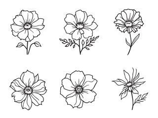 nigella clear vision simple line art