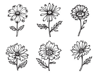 nigella clear vision simple line art