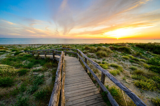Wooden Walkway to paradise beach at sunset time - Tuscany -  Travel destination in Italy