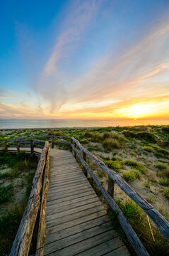 Wooden Walkway to paradise beach at sunset time - Tuscany -  Travel destination in Italy