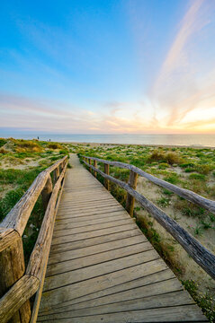 Wooden Walkway to paradise beach at sunset time - Tuscany -  Travel destination in Italy