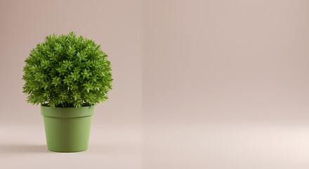 Vibrant Green Potted Plant Perfect Minimalist Home Decor  Design Inspiration