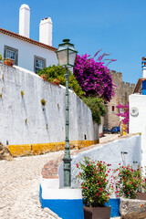 Cobblestone Street and Colorful Flowers in Obidos