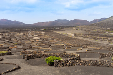 La Geria - The wine route of Lanzarote, growing wine on lava ashes
