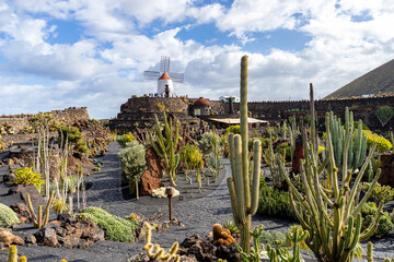 The "Jardín de Cactus" (Cactus garden) in Lanzarote, houses 500 species of cactus.