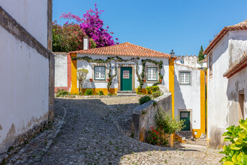 Cobblestone Street and Colorful Flowers in Obidos