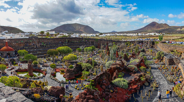 Jardin De Cactus" Images  Browse 1,116 Stock Photos, Vectors, and Video |  Adobe Stock