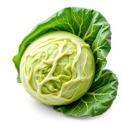 An image of a fresh, green cabbage isolated on a white background, the cabbage should be positioned on the right side of the image