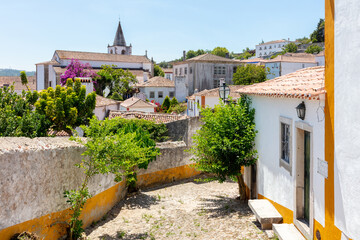 Cobblestone Street and Colorful Flowers in Obidos