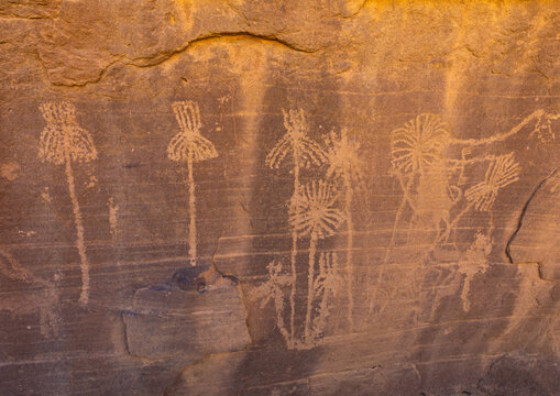 Petroglyphs on a rock depicting palm trees, Najran Province, Thar, Saudi Arabia