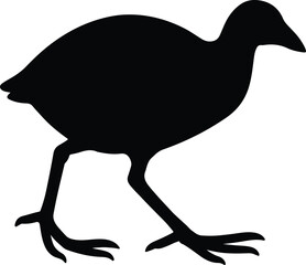 Silhouette pukeko swamphen bird standing vector illustrator