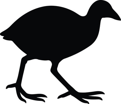 Silhouette pukeko swamphen bird standing vector illustrator