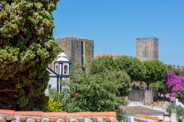 Cobblestone Street and Colorful Flowers in Obidos