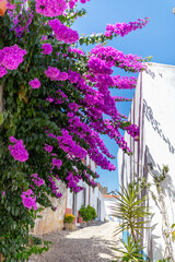 Cobblestone Street and Colorful Flowers in Obidos