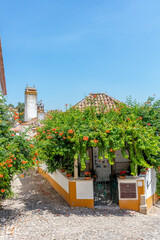 Cobblestone Street and Colorful Flowers in Obidos