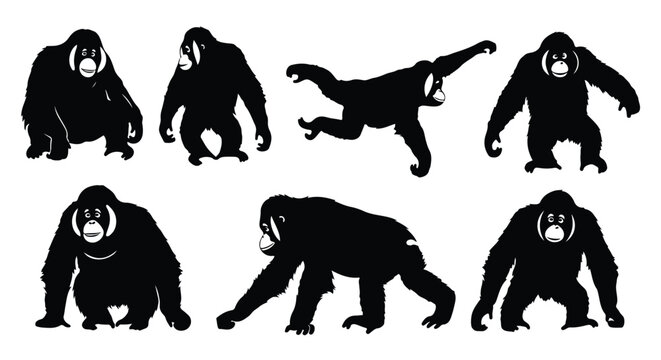 Silhouette vector set silhouettes of three gorillas in various poses, isolated on a white background