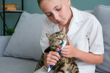 A child brushes a cat's teeth with a toothbrush.