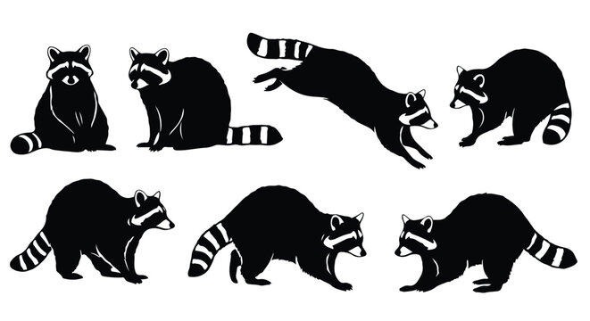 Silhouette vector set a collection of playful raccoons in various dynamic poses, captured in a bold black silhouette against a clean white background