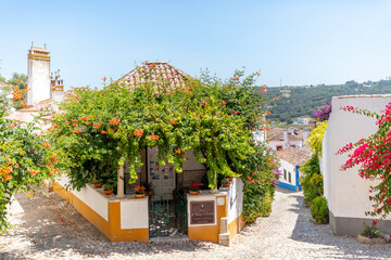 Cobblestone Street and Colorful Flowers in Obidos