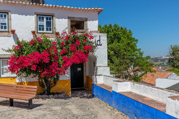 Cobblestone Street and Colorful Flowers in Obidos