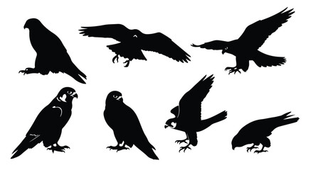 Obraz premium Silhouette vector set a collection of black silhouettes of eagles and falcons in various poses, isolated on a white background