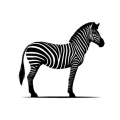 Running Zebra Vector – Dynamic Safari Wildlife Illustration