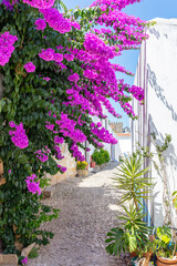 Cobblestone Street and Colorful Flowers in Obidos