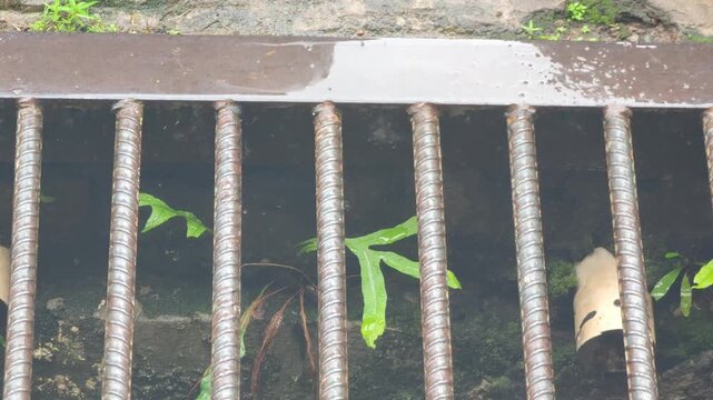 close-up shot of rainwater dripping over a metal drain grate made of rebar-style steel bars. The surface appears wet, reflecting the ongoing rain, while small green plants peek through the gaps, addin