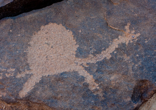 Petroglyphs rock art depicting a camel, Najran Province, Abar Himma, Saudi Arabia