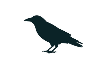 Fototapeta premium Dark Crow Silhouette bird black
